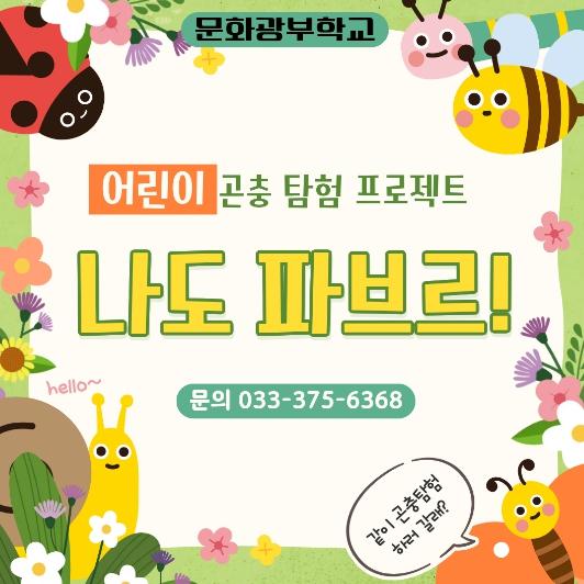 영월문화관광재단, ‘나도 파브르!’ 참가자 모집 기사 이미지