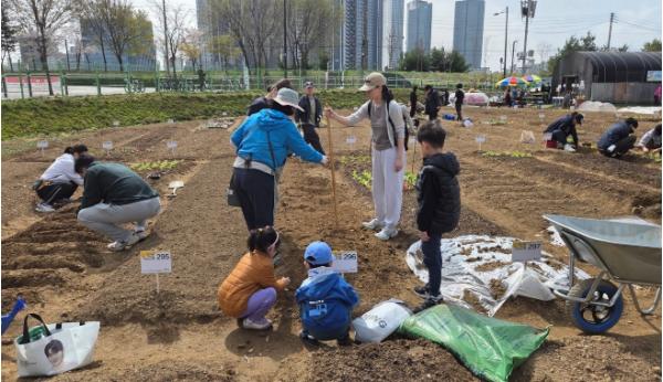성동구, 무지개텃밭·다산농원 개장... 도심 속 텃밭 가꾸기 본격 시작 기사 이미지