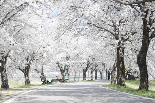 음성군, 일상 속 쉼표가 되는 ‘걷기 좋은 길 10선’ 선정