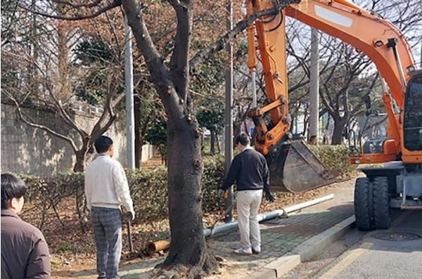 서구, 인도 위 전주·통신주 정비 나선다 기사 이미지