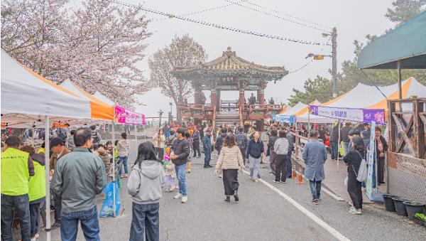 보령시, 옥마산 봄꽃 축제 성황리에 마쳐 기사 이미지