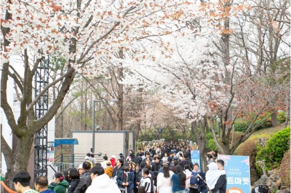 인천 중구, ‘2026년 자유공원 벚꽃축제’ 성황리 개최 기사 이미지