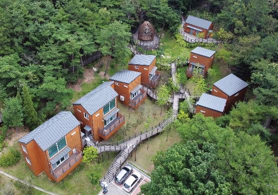 올봄, 숲으로 떠나요! 국민의 봄여행을 응원합니다. 기사 이미지