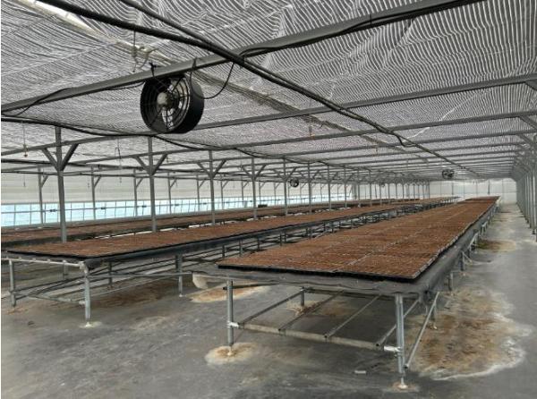 정선군, 꽃묘 11만 본 생산 ‘경관 개선·예산 절감 모두 잡는다’ 기사 이미지