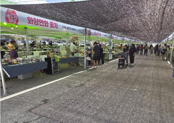 인제군，2026 인제 에누리장터 첫 개장 '대박'... 산나물 열풍에 매출 껑충 기사 이미지