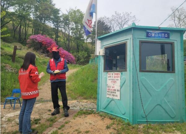 동해시, 연휴 기간 산불방지 특별대책 추진… 대응태세 강화 기사 이미지