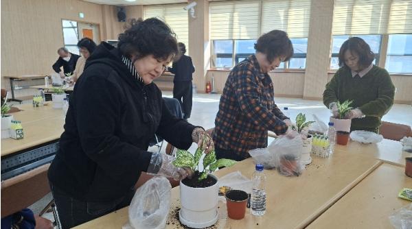 동해시, 반려식물 기르기 교육 성료... 시민 301명 참여 기사 이미지