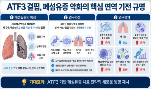질병관리청, 폐가 딱딱해지는 이유 찾았다 폐섬유화 악화시키는 면역 기전 규명