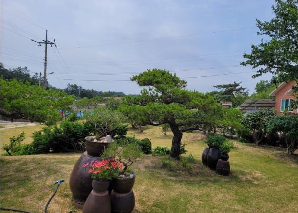 신안군, 개인정원 200여 개소 등록... 상하수도 요금 감면 혜택 ‘큰 호응’ 기사 이미지