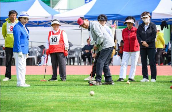 제8회 남해군지회장기 노인게이트볼·그라운드골프 대회 기사 이미지