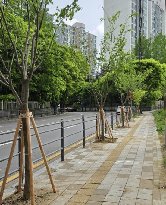 용인특례시 수지구, 도심 가로수 관리 기사 이미지