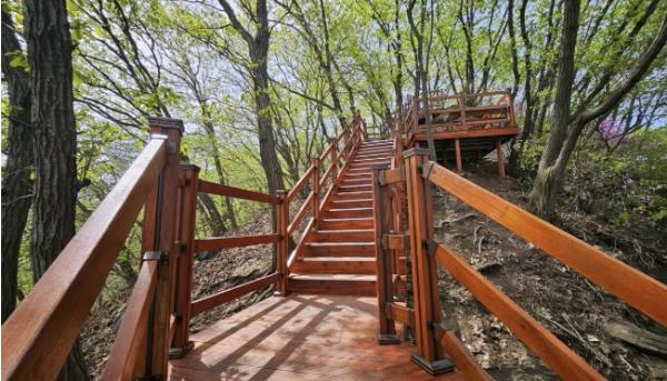 용인특례시 처인구, 부아산 등산로 정비 기사 이미지