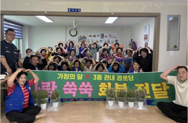 안성시 안성3동 주민자치위원회, '가정의 달' 맞아 어르신들께 사랑 쑥쑥 화분 전달 기사 이미지