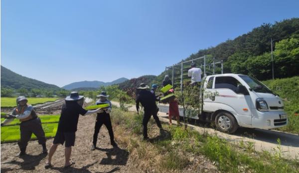 고성군 녹지공원과·산림조합, 대가면 농가서 합동 일손돕기 펼쳐 기사 이미지