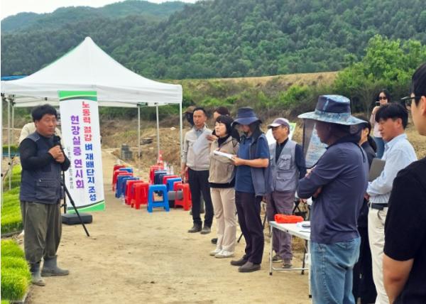 “모내기도 방제도 척척” 홍천군, 첨단 디지털 벼 영농 기술 연시회 개최