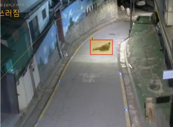 서울 중구, 노후 CCTV 75대 '800만 화소 AI'로 교체 기사 이미지