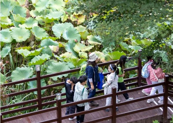 서울 광진구, 산림치유서비스 실증사업 선정… 자연친화 건강프로그램 본격 추진