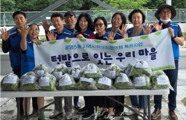 광명5동 지역사회보장협의체, 옥상 텃밭서 수확한 유기농 상추 나눔 실천 기사 이미지