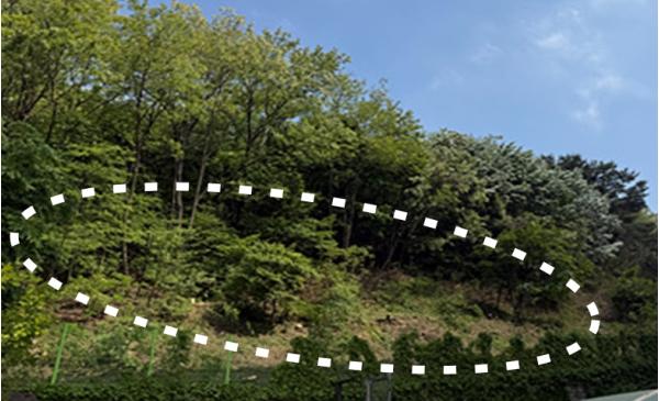 구민 안전 최우선… 동작구, 서달산 일대 산림환경 개선 완료 기사 이미지