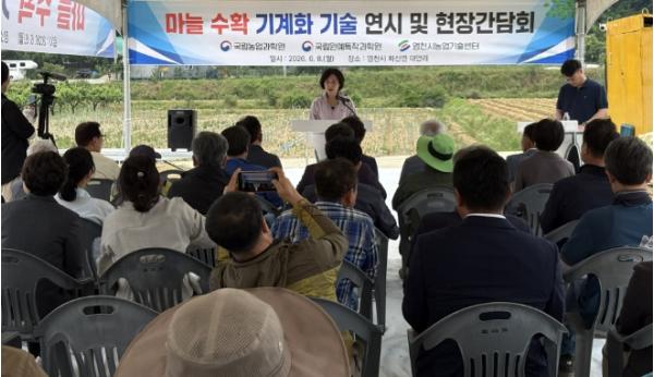 영천시, 농촌진흥청과 마늘 수확 기계화 기술 현장 연시회 개최 기사 이미지