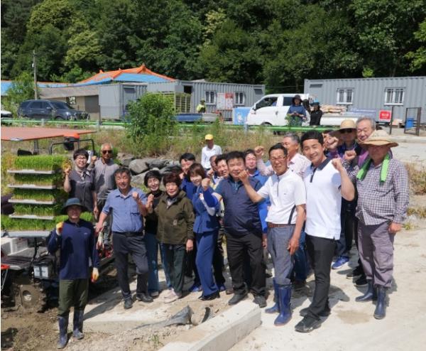 정성으로 심은 희망, 부여읍 ‘행복나눔 모내기’ 구슬땀 기사 이미지