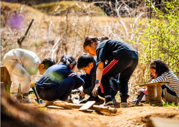 인제군 산골생태유학, ‘학교 활력·인구 유입·소득 창출’ 일석삼조 효과 톡톡 기사 이미지