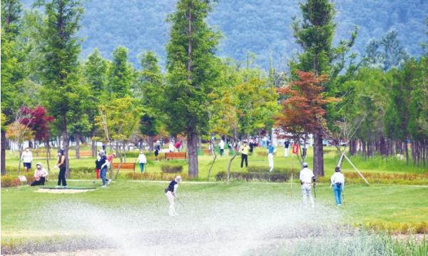 교육행복 도시 입지 탄탄, 파크골프 수도 최고 명성, 군민 기본소득 도전 성공 기사 이미지