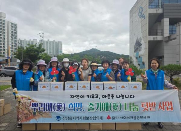울주군 삼남읍 지역사회보장협의체, 취약계층 나눔텃밭 감자 전달  기사 이미지