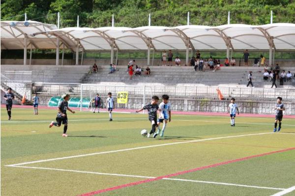금강송배 전국 유소년클럽 축구대회, 울진에서 킥오프 기사 이미지