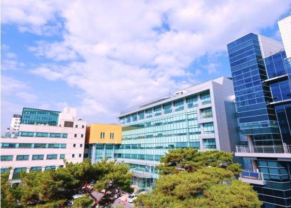 ‘적극행정 5년 연속 우수’ 은평구, 전 직원 대상 온라인 직장교육 개최