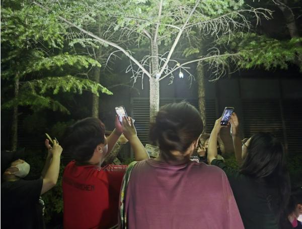 청주시, 여름방학 양서류생태문화관 특별 프로그램 운영 기사 이미지