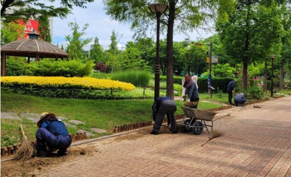 남구, 우수기 대비 도심공원 110곳 일제 정비 기사 이미지