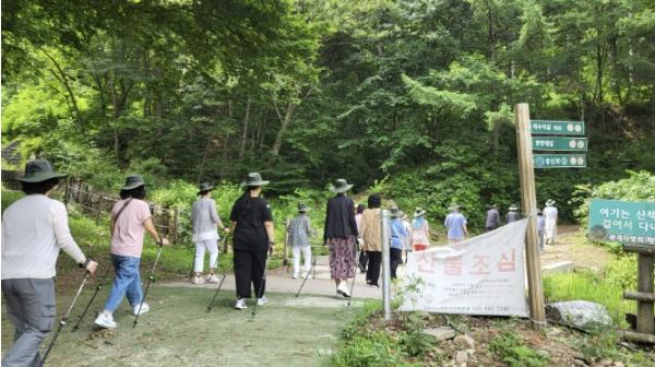 가평군치매안심센터, 치매가족 숲속 힐링 실시 기사 이미지