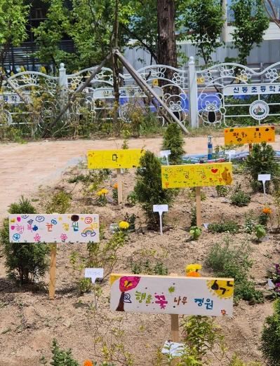 춘천시, 아이들과 함께 키운 정원… ‘봄내 꿈나무 정원사’ 수료 기사 이미지