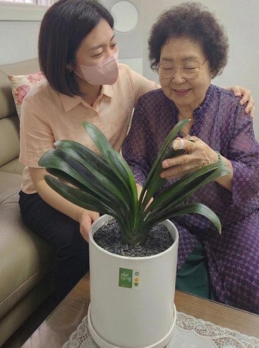 성동구, 반려식물로 어르신 마음 건강 돌본다... 맞춤형 원예치유 지원 기사 이미지