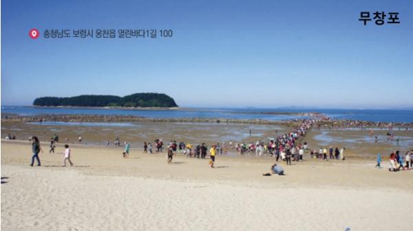 보령시, 서해안 바다갈라짐 예보 검증조사 실시 기사 이미지