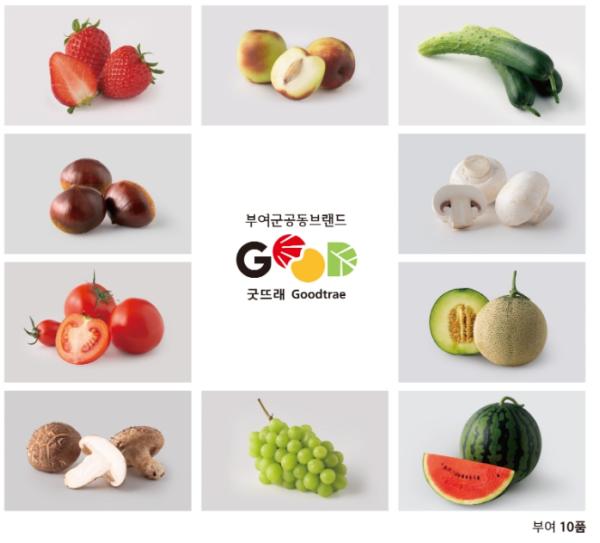 부여군, ‘프리미엄 굿뜨래’를 이끌 사용승인 조직 모집 기사 이미지