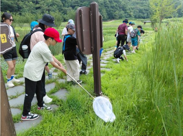 충북교육청 환경교육센터와우, 상당산성 생태체험으로 환경 감수성 키운다 기사 이미지