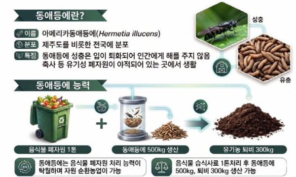 충북농기원, 동애등애 활용한 양돈사료 실증 연구 돌입 기사 이미지