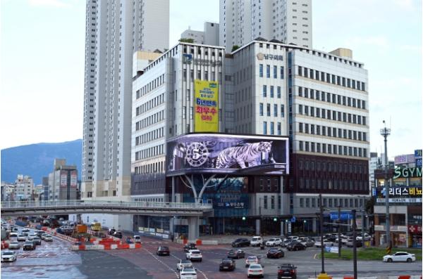 전남광주통합특별시 남구, 임산부에 ‘친환경 농산물 꾸러미’ 제공 기사 이미지