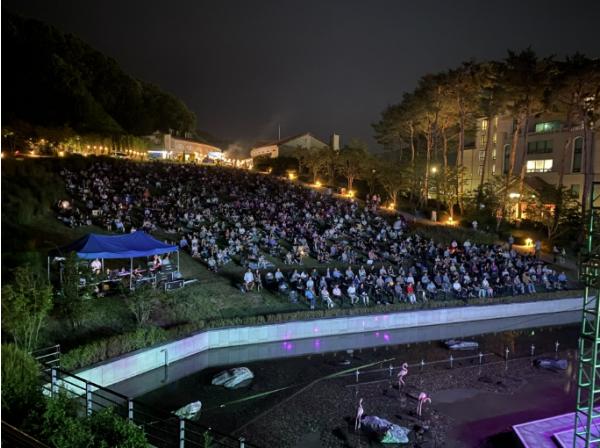 별빛 아래 울려 퍼진 아름다운 선율…'연천 구석구석 문화콘서트' 여름 콘서트 성황리 개최 기사 이미지