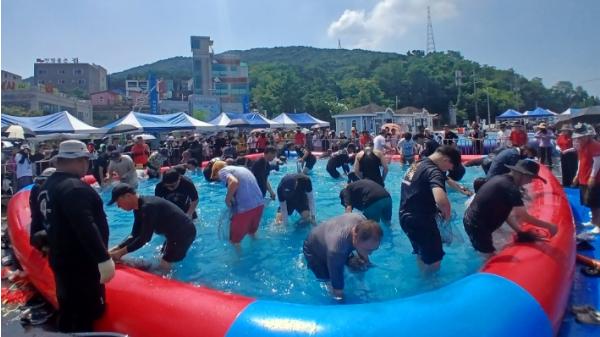 서산시 제20회 삼길포우럭축제 성료, ‘약 4만 명 방문’ 기사 이미지