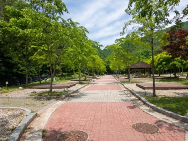 평창군시설관리공단 계방산오토캠핑장, 2026 KCIA 한국소비자산업평가 6년 연속 우수분야 선정 기사 이미지