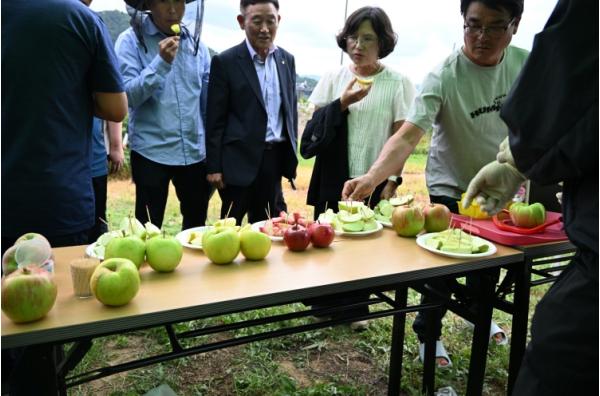 장수군, 국내육성 사과 신품종 평가회 개최 기사 이미지