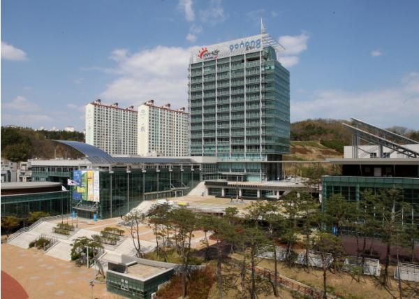 포항시 보릿돌교 사고 현장 ‘위험구역’ 설정…출입제한 행정명령 발령 기사 이미지