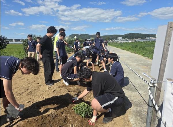 파주시 파주읍 주민자치회, 세경고 학생과 함께 국화꽃 심기 행사 기사 이미지