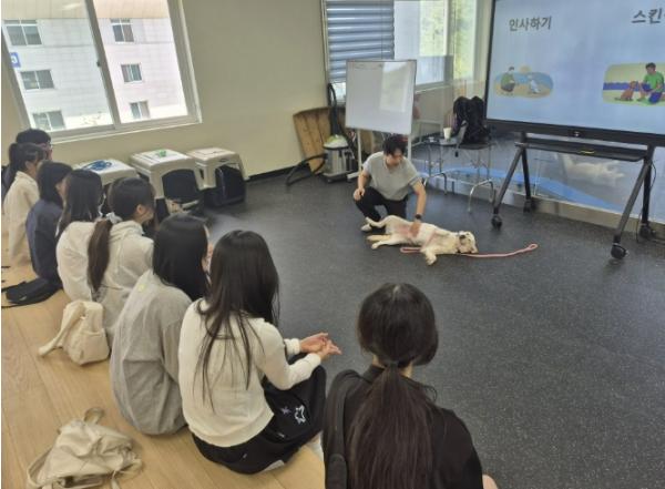 동두천양주교육지원청, 서정대학교 연계 학점인정형(이중학점) '반려동물과 휴먼케어' 과목 운영 기사 이미지
