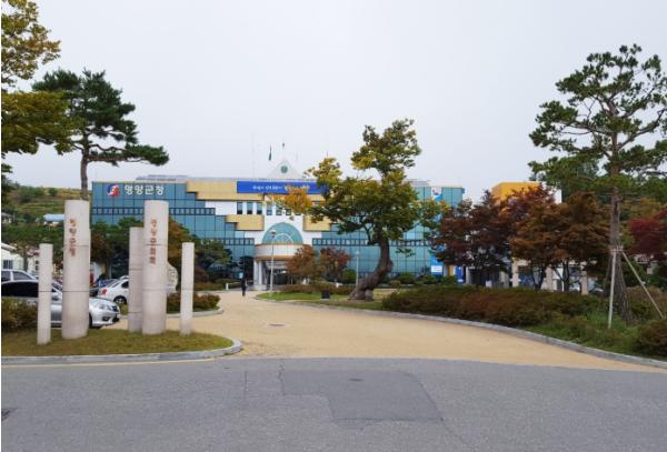 양양군, 바다와 파도를 즐기는 ‘서핑캠프’ 개최 기사 이미지