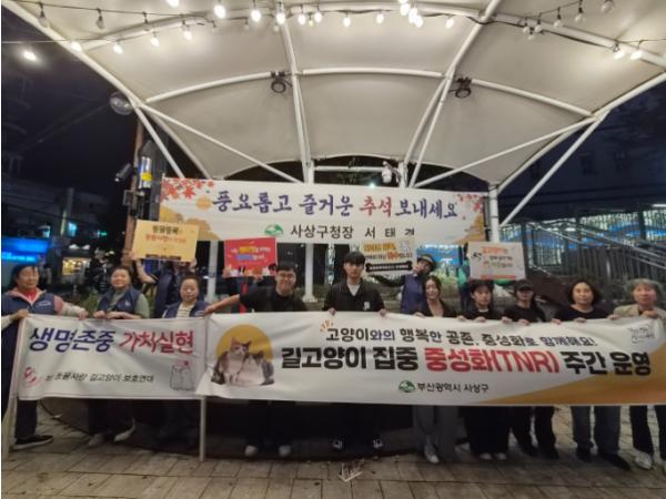 부산 사상구, 길고양이 집중 중성화 주간 운영, 민·관·학 협력으로 길고양이와 주민의 공존 모색 기사 이미지