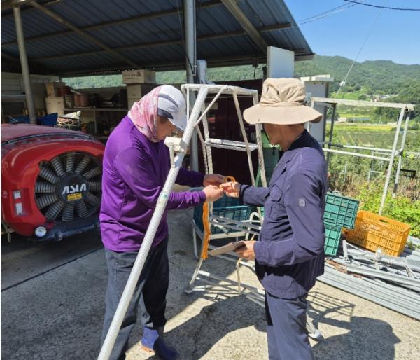 안동시, 과수 수확철 사다리 추락사고 예방 나선다 기사 이미지